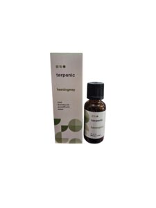 TERPENIC  - SINERGIA HEMINGWAY - 30 ML