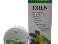 Dren Originalia Jarabe Integralia + REGALO Crema hidratante aloe vera colibri